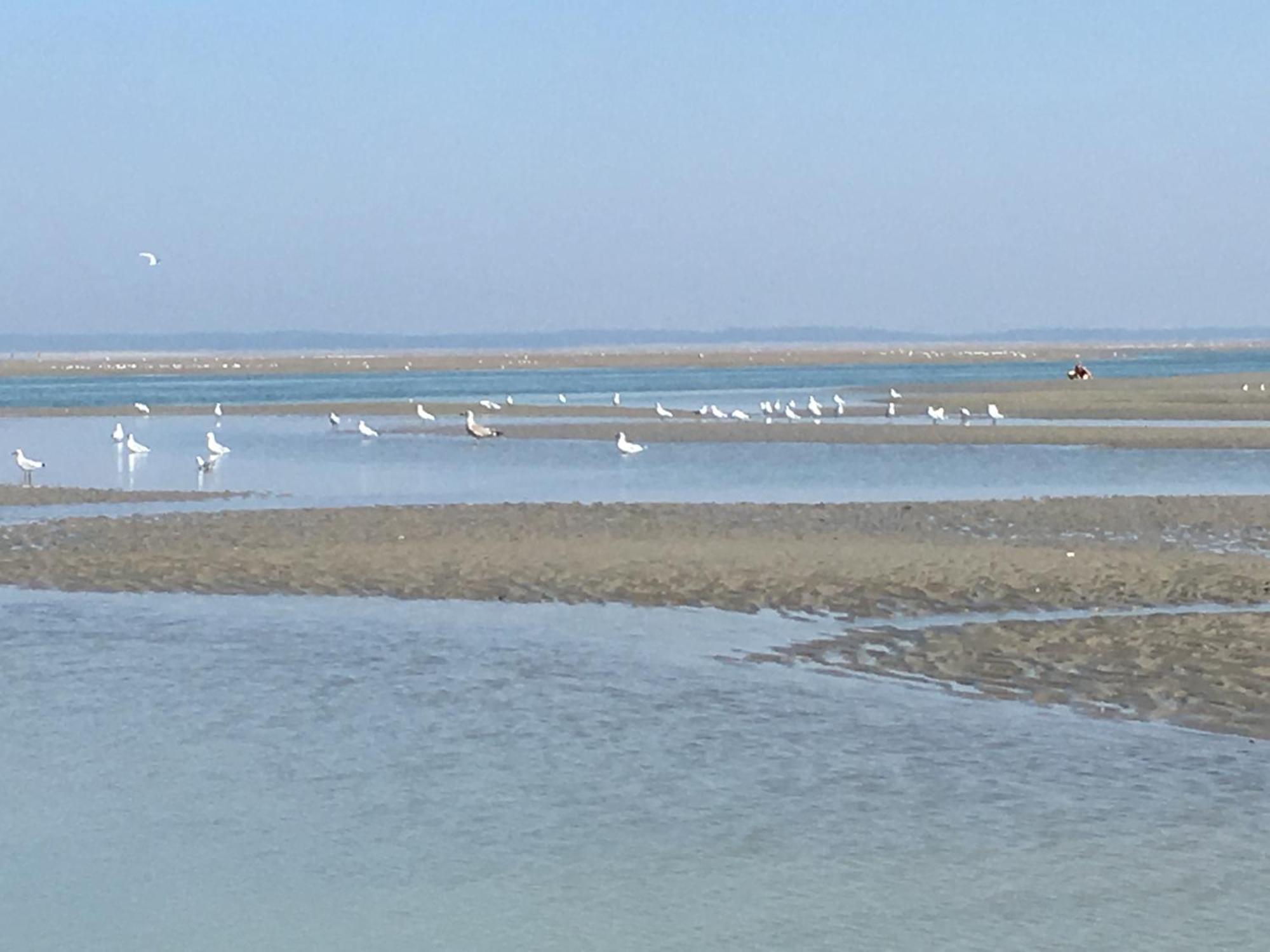 Maison De Pecheur Renovee A 3 Mn De La Mer. Cayeux-sur-Mer Buitenkant foto