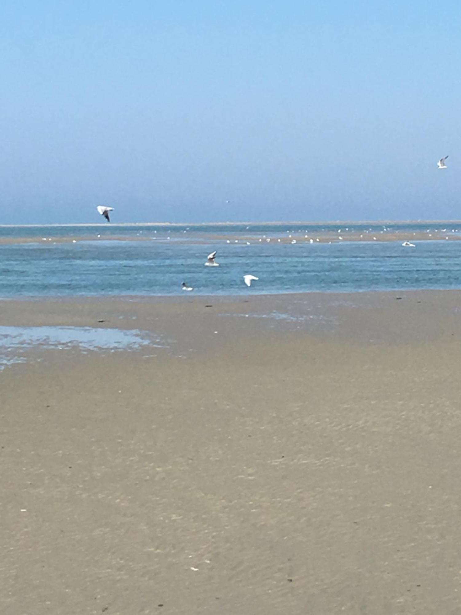 Maison De Pecheur Renovee A 3 Mn De La Mer. Cayeux-sur-Mer Buitenkant foto