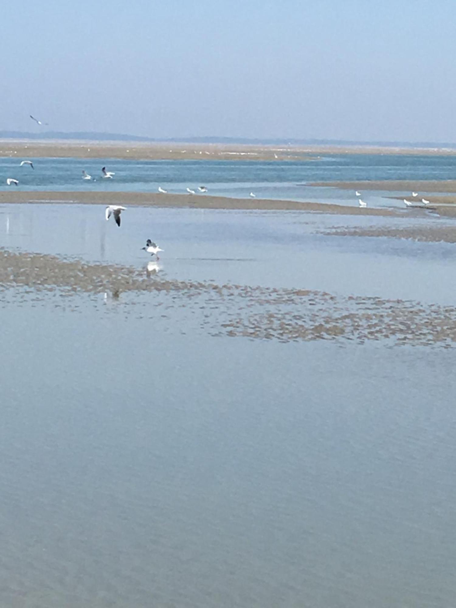 Maison De Pecheur Renovee A 3 Mn De La Mer. Cayeux-sur-Mer Buitenkant foto