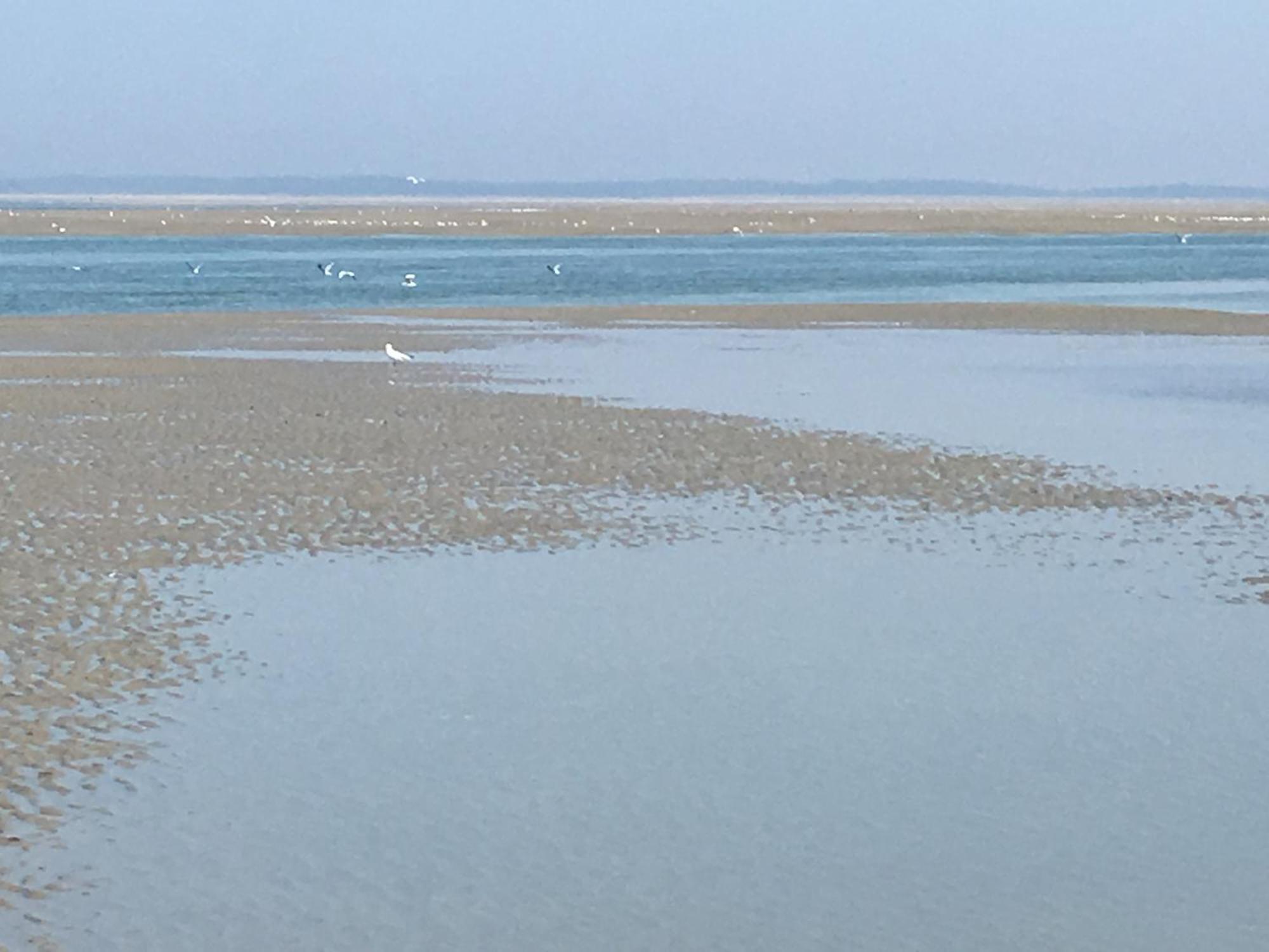 Maison De Pecheur Renovee A 3 Mn De La Mer. Cayeux-sur-Mer Buitenkant foto